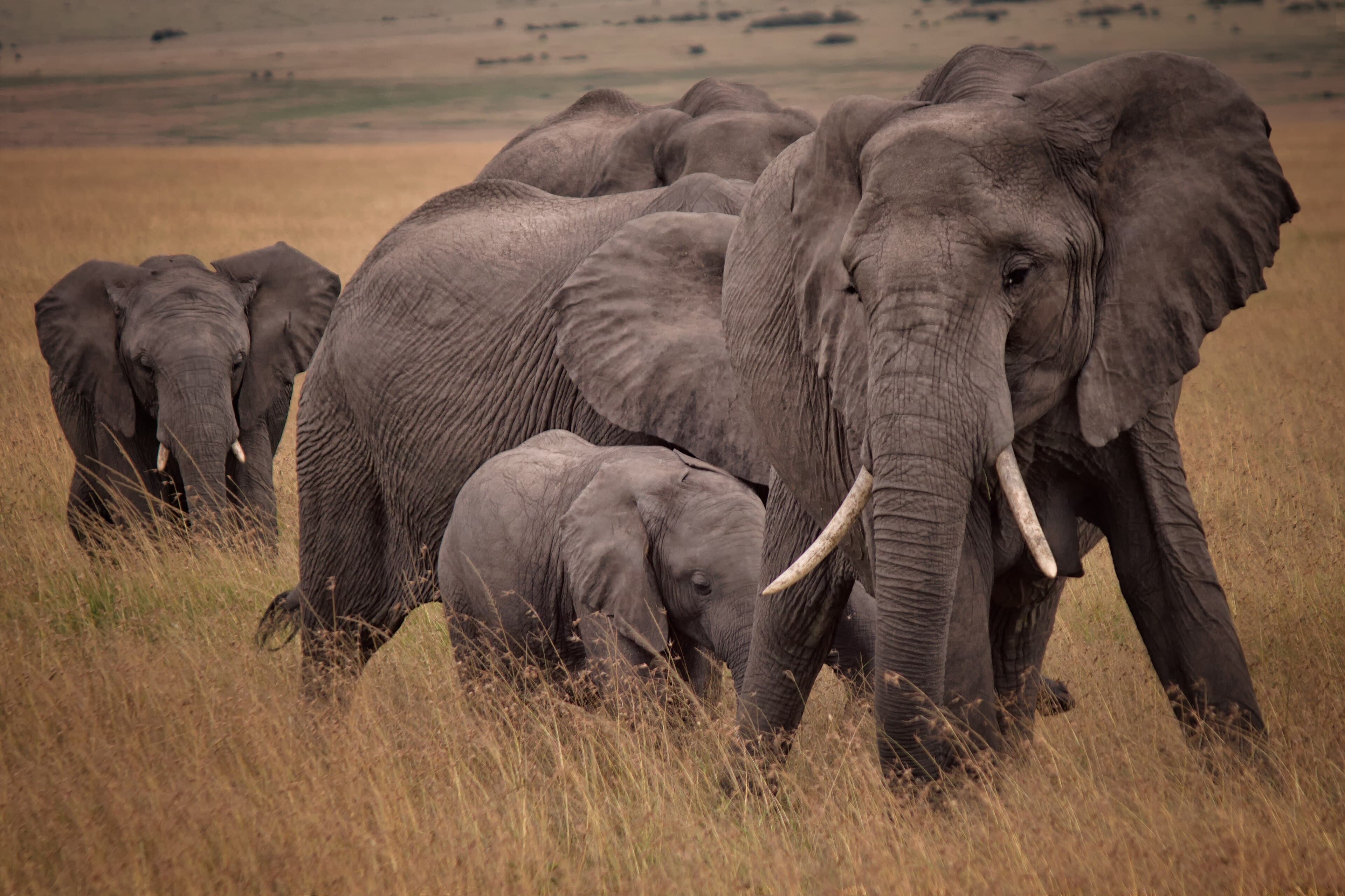 Kenya